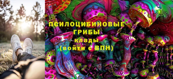 тгк Армянск
