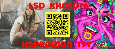 молекула духа Камышлов