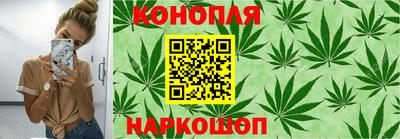 PSILOCYBIN Канаш