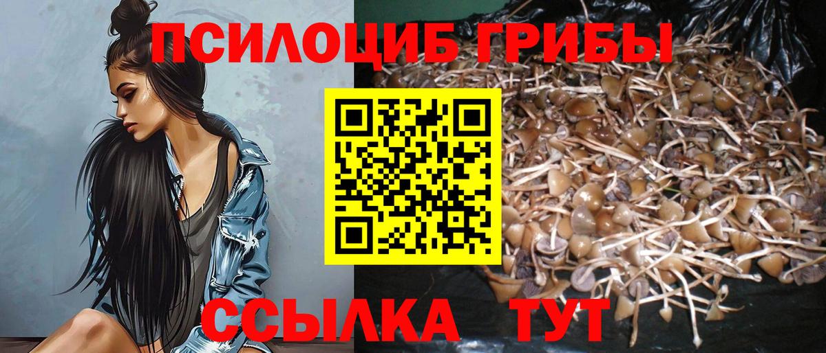 Галлюциногенные грибы GOLDEN TEACHER Кировск