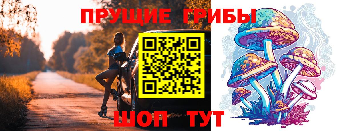 Кировск  Галлюциногенные грибы мухоморы  Вход с VPN 